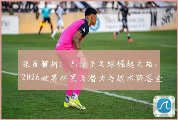 深度解析：巴拉圭足球崛起之路，2026世界杯黑马潜力与战术阵容全揭秘